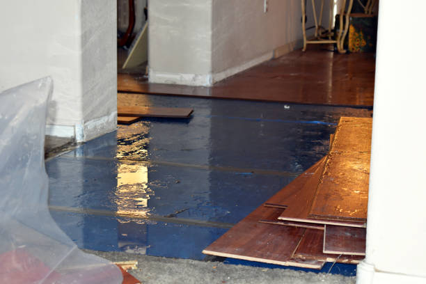 Professional Sewage Cleanup technician working in Racine, MN